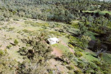 Other (Rural) For Sale - NSW - Gooloogong - 2805 - Rare Land Opportunity – Ready for Your Plans  (Image 2)