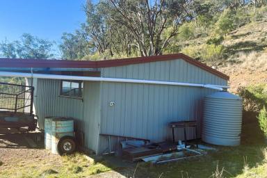 Other (Rural) For Sale - NSW - Gooloogong - 2805 - Rare Land Opportunity – Ready for Your Plans  (Image 2)