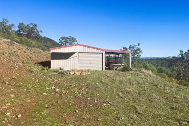 Other (Rural) For Sale - NSW - Gooloogong - 2805 - Rare Land Opportunity – Ready for Your Plans (Image 2)