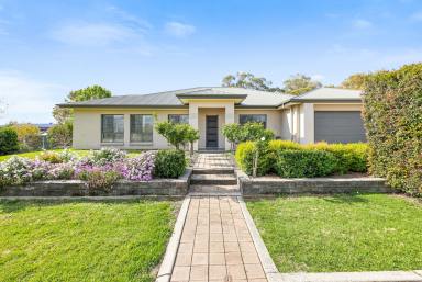 House Auction - NSW - Tamworth - 2340 - BEAUTFULLY PRESENTED FAMILY HOME WITHIN MINUTES FROM THE CBD  (Image 2)