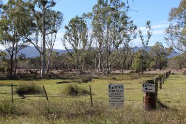 Other (Rural) For Sale - VIC - Mooralla - 3314 - Bush block with income  (Image 2)