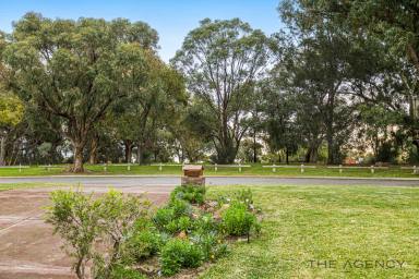 House For Sale - WA - Carine - 6020 - Cul De Sac Opposite a Park  (Image 2)