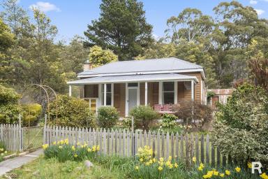 House Leased - TAS - St Marys - 7215 - Cute Cottage on Franks Street (Image 2)