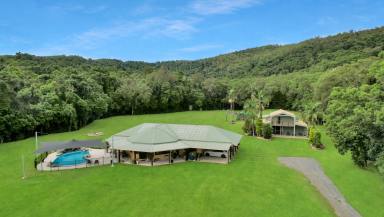 House Auction - QLD - Port Douglas - 4877 - A Sanctuary of Serenity: Private 39 Acres with Dual Living  (Image 2)