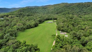 House Auction - QLD - Port Douglas - 4877 - A Sanctuary of Serenity: Private 39 Acres with Dual Living  (Image 2)