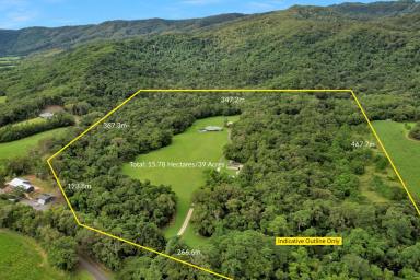 House For Sale - QLD - Port Douglas - 4877 - DESPERATE SELLER NEEDS DEAL  (Image 2)