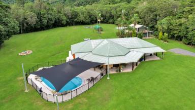 House Auction - QLD - Port Douglas - 4877 - Private 39 Acres with Two Homes plus...  (Image 2)