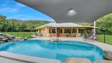 House Auction - QLD - Port Douglas - 4877 - Private 39 Acres with Two Homes plus...  (Image 2)