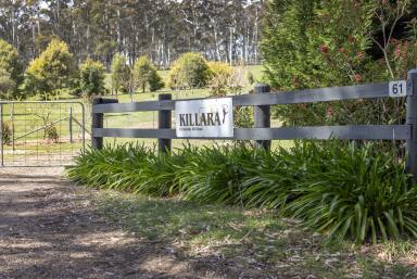 Lifestyle Auction - NSW - Robertson - 2577 - 'Killara'  - Prime Rural Holding Opportunity (Building Entitlement)  (Image 2)