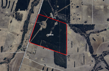Mixed Farming For Sale - WA - Catterick - 6255 - Large Rural Holding in the Heart of the South-West  (Image 2)