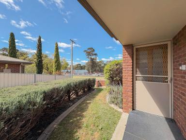 Unit Leased - VIC - Swan Hill - 3585 - Prime Riverside Location (Image 2)