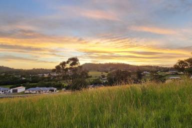 Residential Block For Sale - QLD - Chatsworth - 4570 - The Perfect Acre: Elevated, Views, Premium Estate  (Image 2)