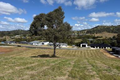 Residential Block For Sale - QLD - Chatsworth - 4570 - The Perfect Acre: Elevated, Views, Premium Estate  (Image 2)