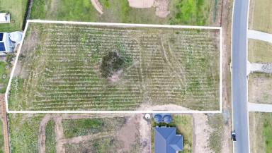 Residential Block For Sale - QLD - Chatsworth - 4570 - The Perfect Acre: Elevated, Views, Premium Estate  (Image 2)