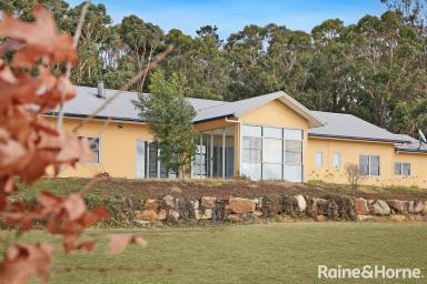 Lifestyle For Sale - NSW - Sutton Forest - 2577 - 720 Acres- 3 Titles & 3 Properties- A Rare Rural Gem in Sutton Forest  (Image 2)