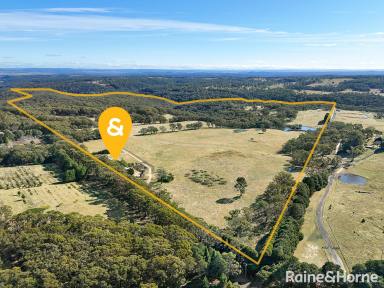 Lifestyle For Sale - NSW - Sutton Forest - 2577 - 520 Acres- A Rare Rural Gem in Sutton Forest  (Image 2)