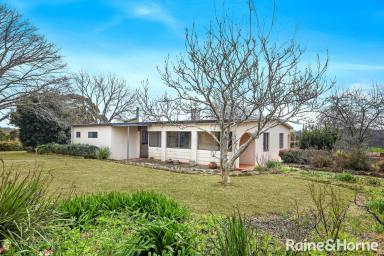Lifestyle For Sale - NSW - Sutton Forest - 2577 - 'Bellview' - 100 Acre Rural Escape with Horse Facilities & Tranquil Views  (Image 2)
