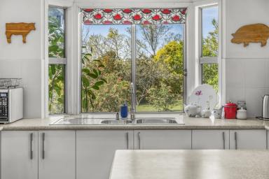 Lifestyle For Sale - NSW - Singleton - 2330 - Welcome to ''WEARAWEE'' - Your Private Rural Escape!  (Image 2)