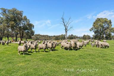 Acreage/Semi-rural For Sale - WA - Gidgegannup - 6083 - "WAINUI" - A Place Of Plentiful Water  (Image 2)
