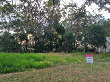 Residential Block For Sale - QLD - Macleay Island - 4184 - Absolute Waterfront  Block 1,100m2  with Stunning Sunsets  (Image 2)