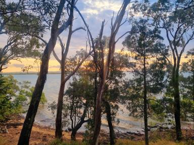 Residential Block For Sale - QLD - Macleay Island - 4184 - Absolute Waterfront Block 1,100m2 with Stunning Sunsets (Image 2)