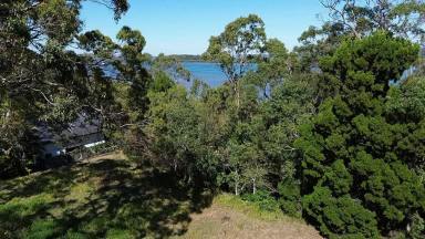 Residential Block For Sale - QLD - Macleay Island - 4184 - Absolute Waterfront  Block 1,100m2  with Stunning Sunsets  (Image 2)