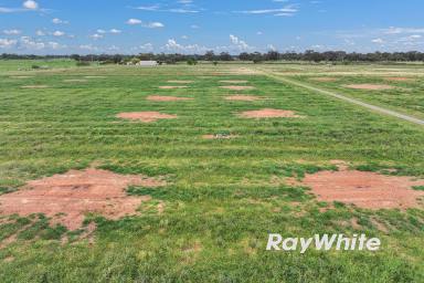 Horticulture For Sale - VIC - Merrigum - 3618 - Horticultural Investment  (Image 2)