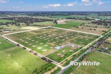Horticulture For Sale - VIC - Merrigum - 3618 - Horticultural Investment  (Image 2)