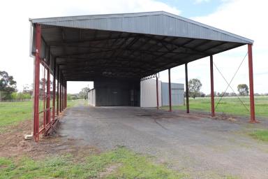 Horticulture For Sale - VIC - Merrigum - 3618 - Horticultural Investment with Scale & Water Security  (Image 2)
