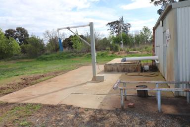 Horticulture For Sale - VIC - Merrigum - 3618 - Horticultural Investment with Scale & Water Security  (Image 2)