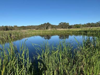 Residential Block For Sale - QLD - Amiens - 4380 - Your new home site is Second to None  (Image 2)