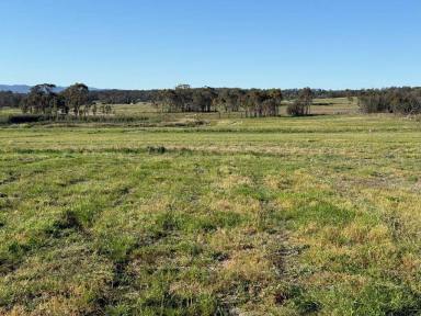 Residential Block For Sale - QLD - Amiens - 4380 - Your new home site is Second to None  (Image 2)
