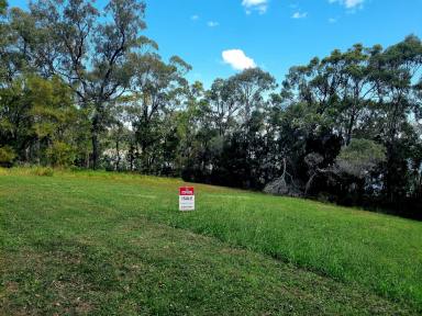 Residential Block For Sale - QLD - Macleay Island - 4184 - Over Half an Acre of Waterfront land.... Elevated and Spectacular views!  Do Not Miss This!  (Image 2)