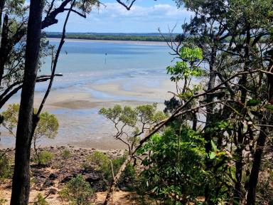 Residential Block For Sale - QLD - Macleay Island - 4184 - Rare Waterfront Opportunity - 1200m2 with Sweeping Views! Island living at its finest!  (Image 2)