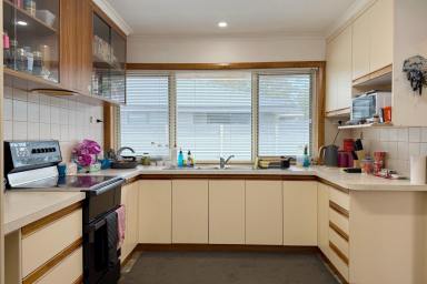 House For Sale - TAS - Prospect Vale - 7250 - Prime Location  (Image 2)