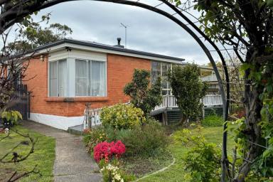 House For Sale - TAS - Prospect Vale - 7250 - Prime Location  (Image 2)