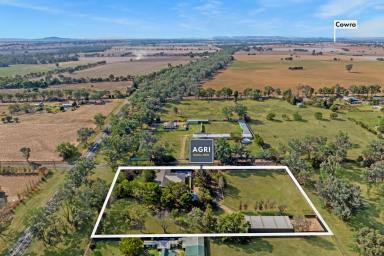 Acreage/Semi-rural Auction - NSW - Wattamondara - 2794 - BEAUTIFUL FAMILY HOME, SET ON 2.36ACRES ON THE OUTSKIRTS OF TOWN!  (Image 2)