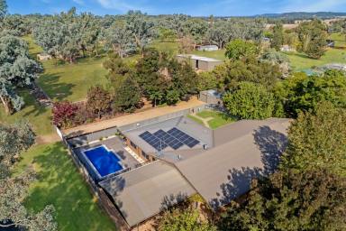 Acreage/Semi-rural Auction - NSW - Wattamondara - 2794 - BEAUTIFUL FAMILY HOME, SET ON 2.36ACRES ON THE OUTSKIRTS OF TOWN!  (Image 2)
