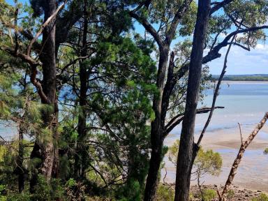 Residential Block For Sale - QLD - Macleay Island - 4184 - . Waterfront Land Opportunity 1200m2 with sweeping views! Island living at its best!  (Image 2)