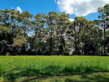 Residential Block For Sale - QLD - Macleay Island - 4184 - Rare Waterfront Opportunity - 1200m2 with Sweeping Views! Island living at its finest!  (Image 2)