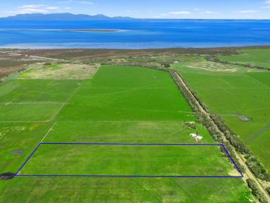 Other (Rural) For Sale - VIC - Toora - 3962 - Productive land, peaceful location  (Image 2)