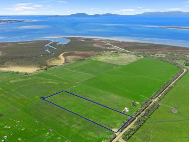 Other (Rural) For Sale - VIC - Toora - 3962 - Productive land, peaceful location  (Image 2)