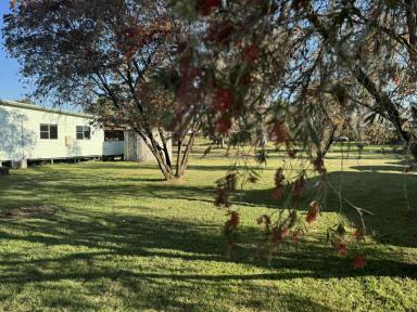 House For Sale - NSW - Rappville - 2469 - 3 BEDROOM STRUCTURALLY SOUND HOUSE AT “LOCK UP” ON 1,700M2 BLOCK  (Image 2)