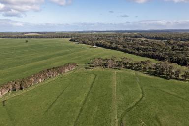 Dairy For Sale - TAS - Woolnorth - 7330 - LARGE-SCALE PREMIUM DAIRY  (Image 2)
