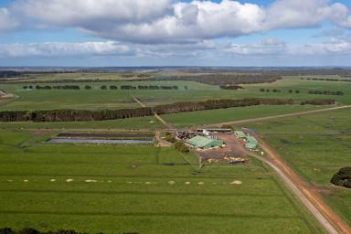 Dairy For Sale - TAS - Woolnorth - 7330 - LARGE-SCALE PREMIUM DAIRY  (Image 2)