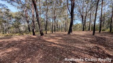 Residential Block For Sale - QLD - Russell Island - 4184 - Secluded 653 sqm Peaceful Setting Near Rocky Point  (Image 2)