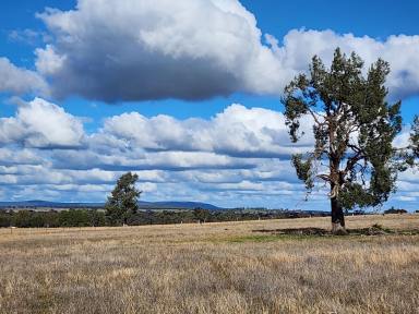 Residential Block For Sale - NSW - Parkes - 2870 - 10 Acres with Panoramic Views Minutes from Parkes  (Image 2)