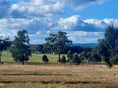 Residential Block For Sale - NSW - Parkes - 2870 - 10 Acres with Panoramic Views Minutes from Parkes  (Image 2)
