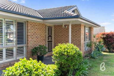 House For Sale - NSW - Singleton - 2330 - Family Home in quiet Heights Location  (Image 2)