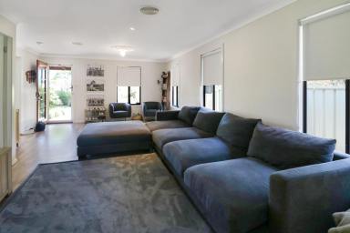 House For Sale - NSW - Glen Innes - 2370 - Beautifully Renovated Weatherboard Home in Prime Location  (Image 2)